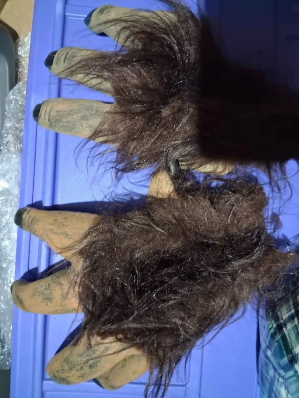 Werewolf shirt and gloves only